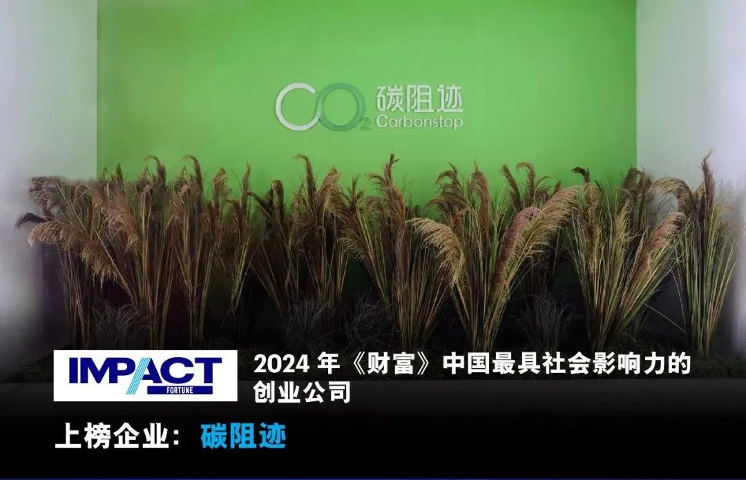 640 (2)_1728627237182424.jpg