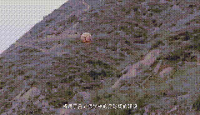 微信图片_20241017154003_1729150936737514.gif